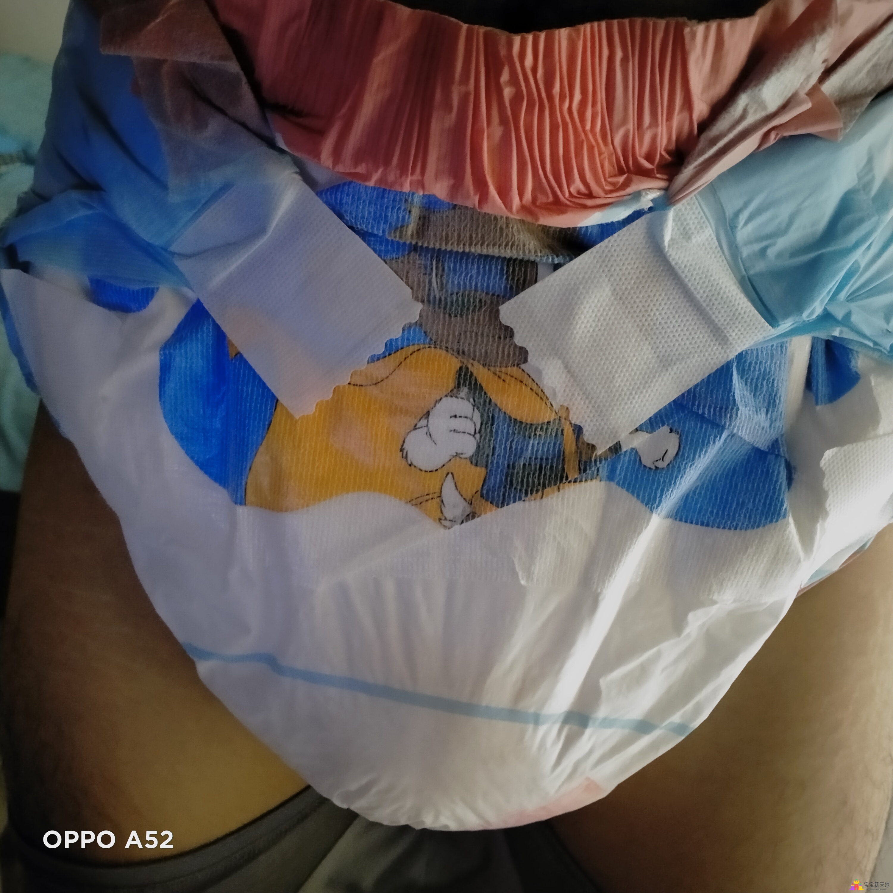 IMG20240611112432.jpg