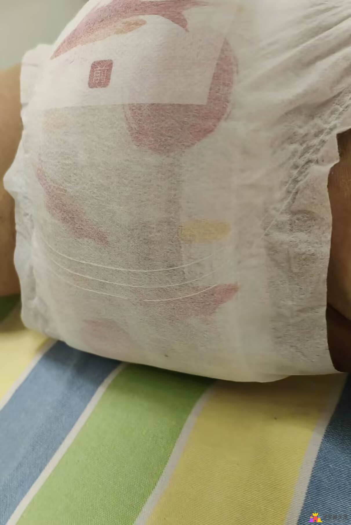 C8B42341E663A59E37A6A107E8D9430F.jpg