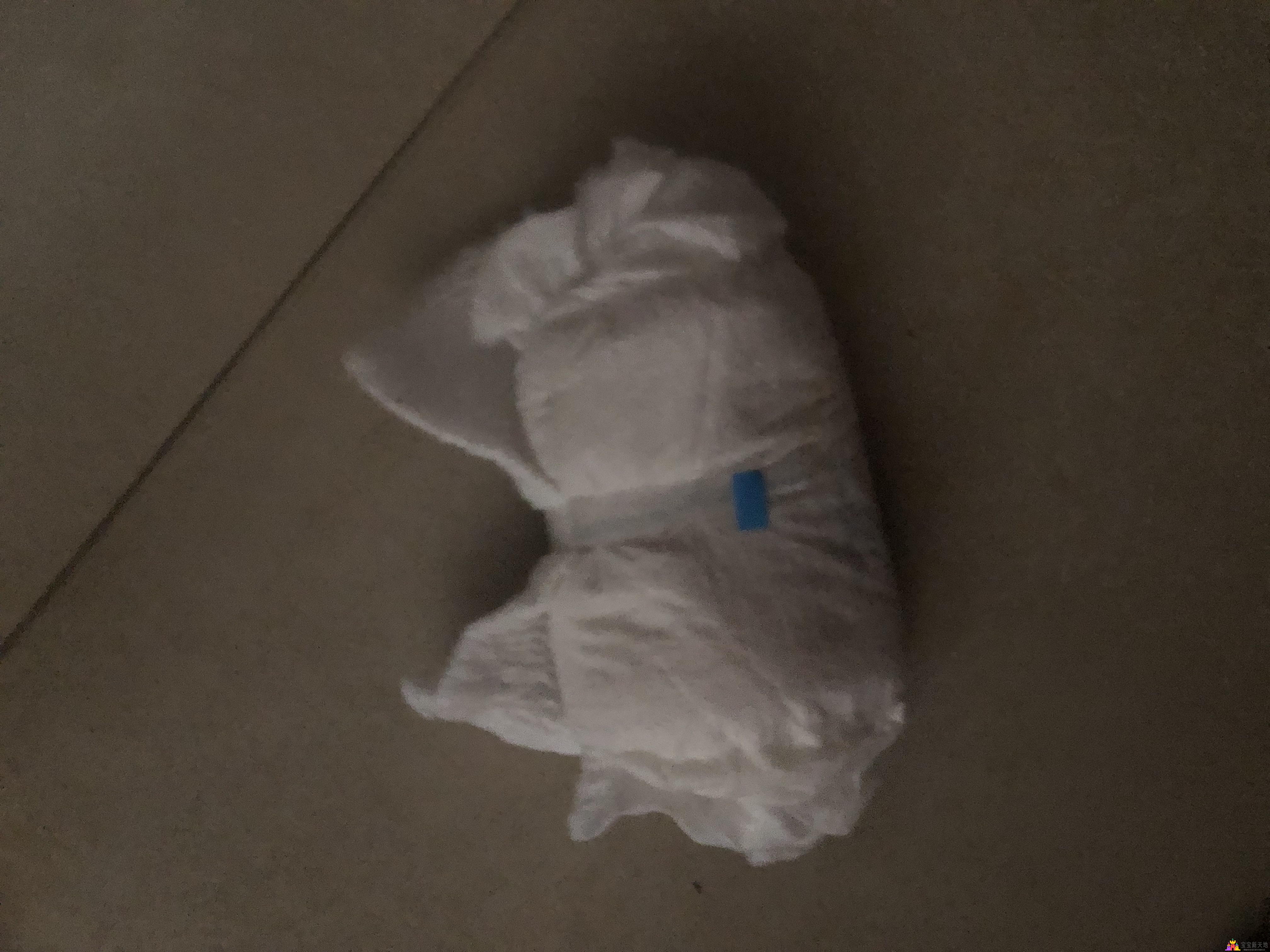IMG_1137.jpeg